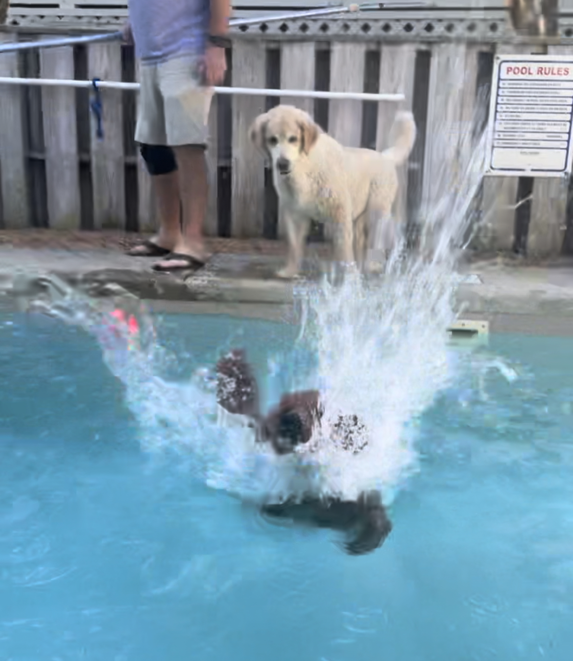 Supporting Health and Mobility