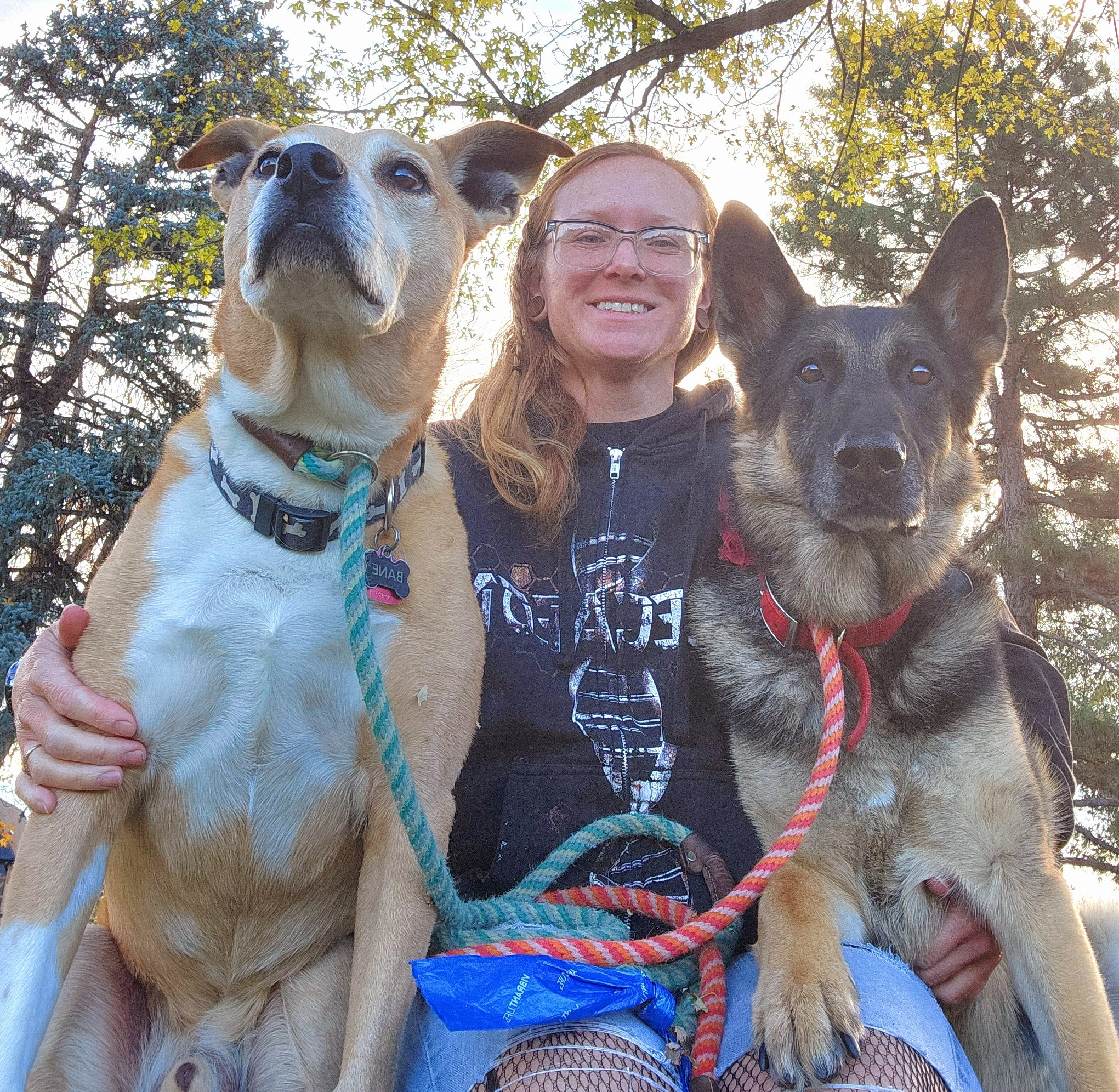 How to Treat Hip Dysplasia in Dogs