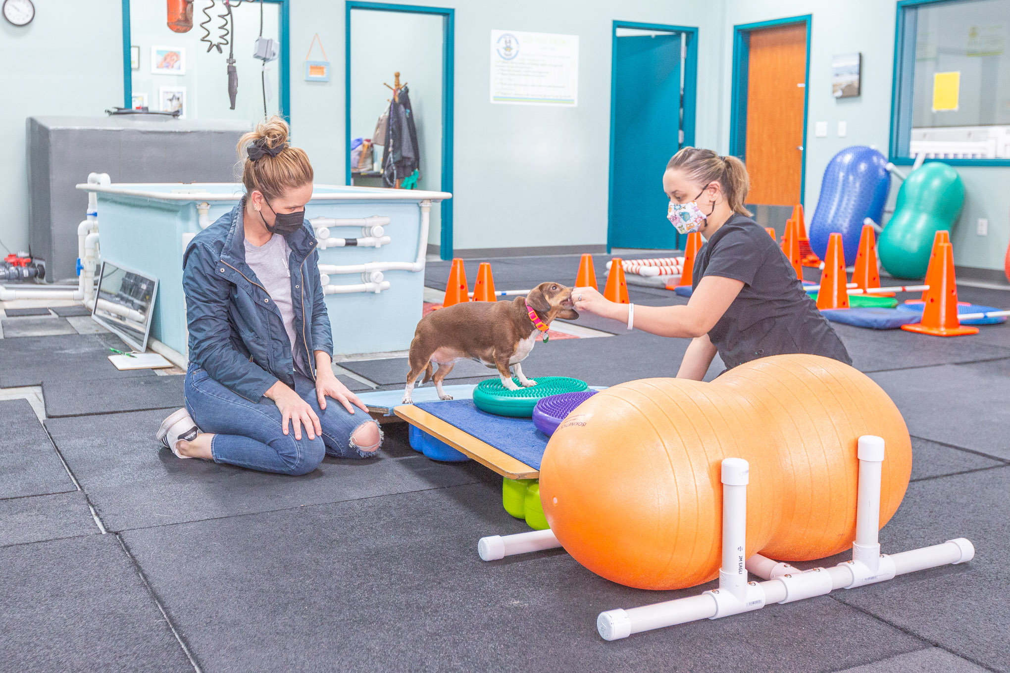 Supporting Health and Mobility